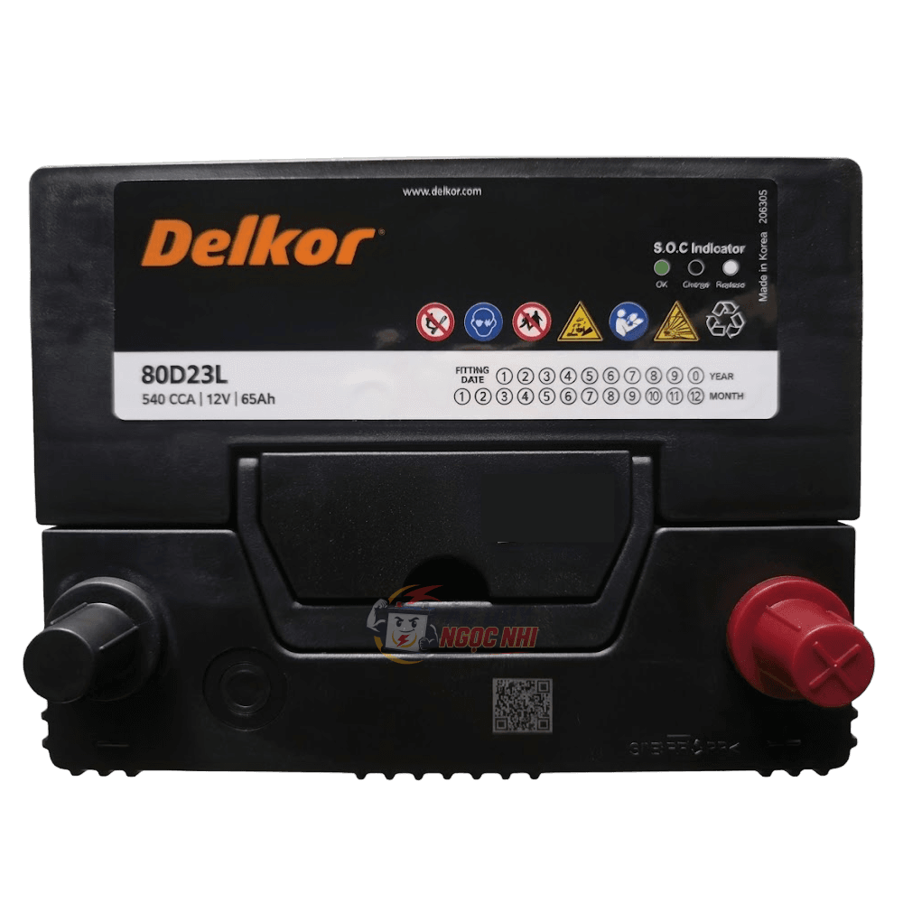 Bình ắc quy Delkor 65Ah ảnh 2