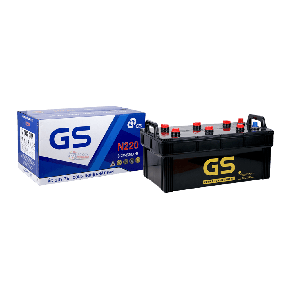 Bình ắc quy GS 220Ah ảnh 3